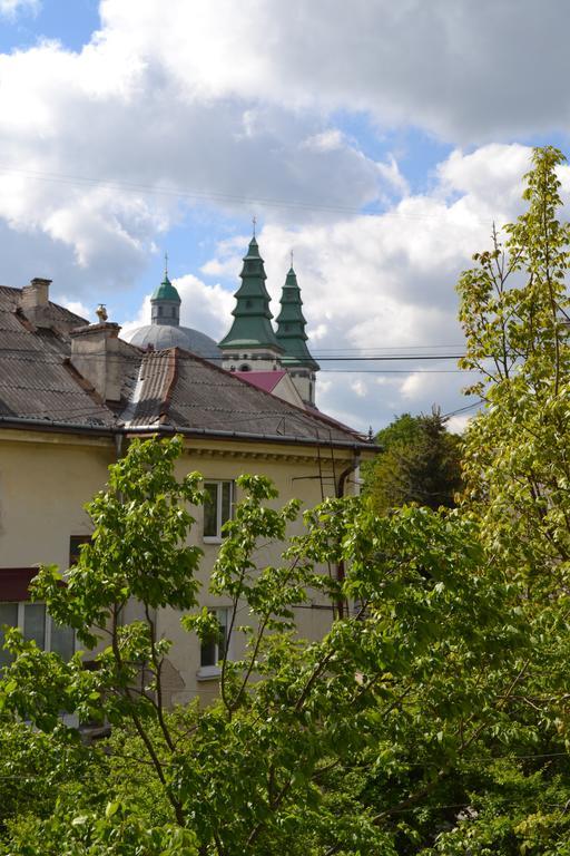 Catedra View Ternopil
